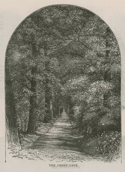 Die grüne Gasse, Holland House von English School