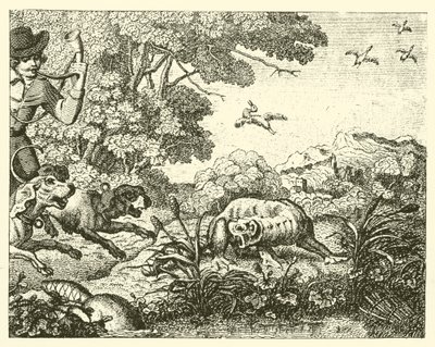 Der gejagte Biber von English School