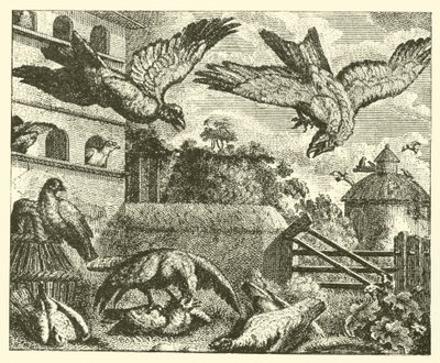 Der Drachen und die Tauben von English School