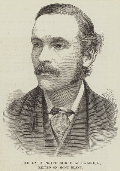 Der verstorbene Professor F. M. Balfour, getötet am Mont Blanc von English School
