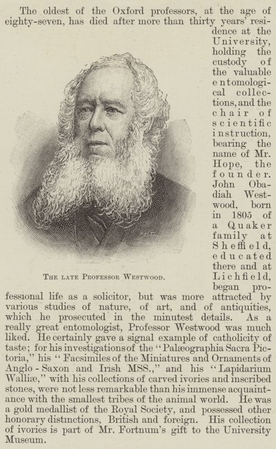 Der verstorbene Professor Westwood von English School