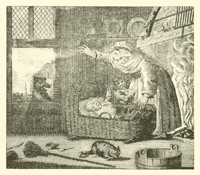 Die Krankenschwester und der Wolf von English School