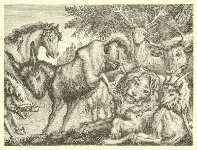 Der alte Löwe (Gravur) von English School