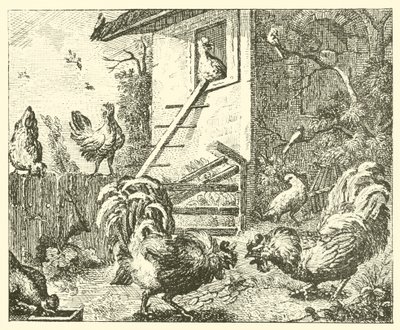 Das Rebhuhn und die Hähne von English School