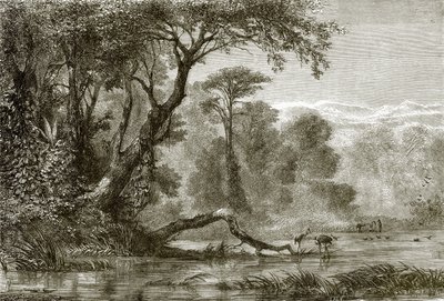 Der Fluss Phasis von English School