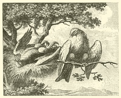 Der kranke Drache (Gravur) von English School