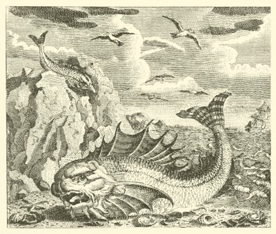 Der Thunfisch und der Delfin (Gravur) von English School
