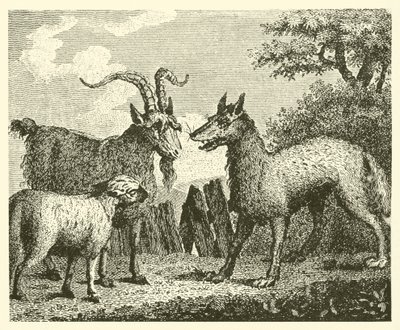 Der Wolf, das Lamm und die Ziege von English School