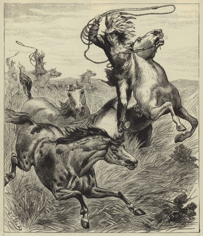 Das Lasso werfen von English School