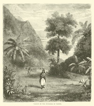 Tal im Inneren von Tahiti von English School