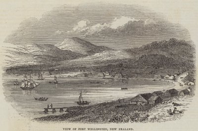 Ansicht von Port Wellington, Neuseeland (Stich) von English School