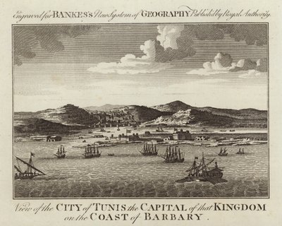 Ansicht der Stadt Tunis von English School