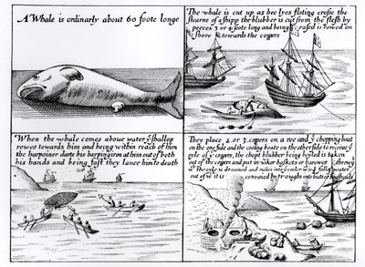 Walfang in Spitzbergen im Jahr 1611 von English School