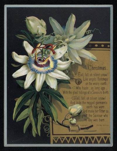 Weiße Passionsblume, Weihnachtsgrußkarte von English School