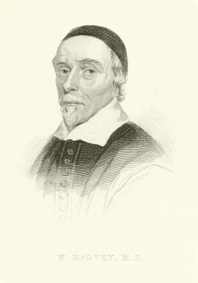 William Harvey von English School