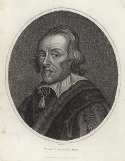 William Harvey von English School