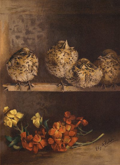 Junge Küken und Blumen von English School