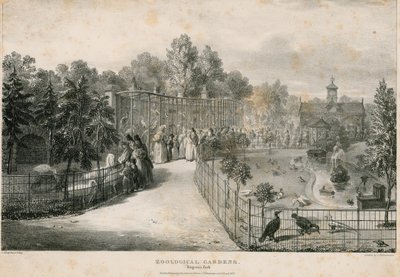 Zoologische Gärten, Regents Park von English School