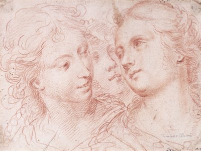 Drei Studien von Frauenköpfen von Ercole Procaccini