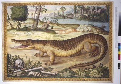 Vollseite: Nilkrokodil in einer Landschaft, mit menschlichen Knochen daneben, um 1562-1580 von Erich Lessing