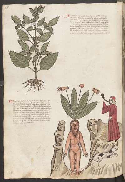 Ganzseitig: Text und Miniaturen: "Mercurela" von Erich Lessing