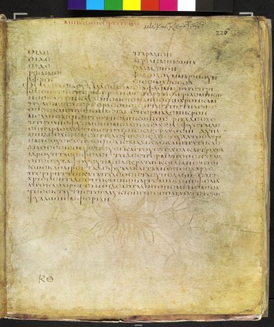 Ganzseitig: Text für gelbe Hornmohn von Erich Lessing