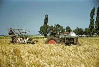 Ernte in einer ungarischen Genossenschaft, Puszta, Ungarische Tiefebene, Ungarn von Erich Lessing