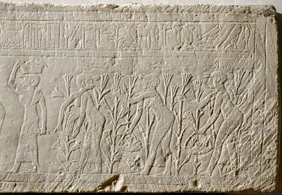 Die Herstellung von Lilienparfüm von Erich Lessing