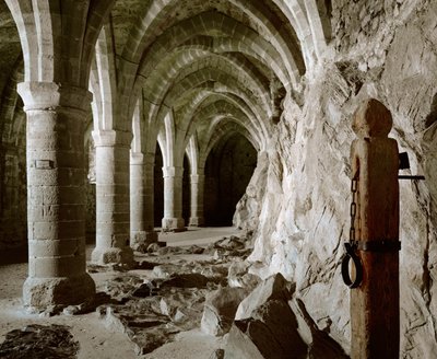 Die gotischen Gewölbe der Keller, Schloss Chillon, Schweiz von Erich Lessing
