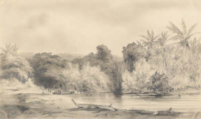 Eingang zum Paiou-Fluss, Vanikoro-Insel von Ernest Auguste Goupil