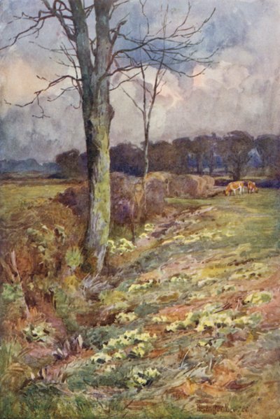Die sich erweiternde Aussicht von Ernest Benger or Berenger