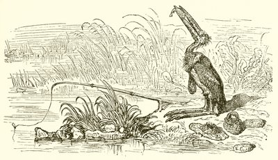 Der Angler und der kleine Fisch von Ernest Henry Griset