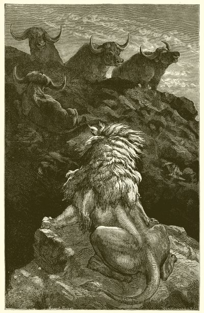 Der Löwe und die vier Stiere von Ernest Henry Griset