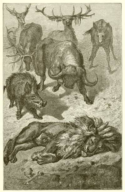 Der alte Löwe von Ernest Henry Griset