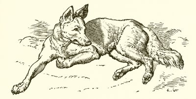 Der Wolf im Schafspelz von Ernest Henry Griset