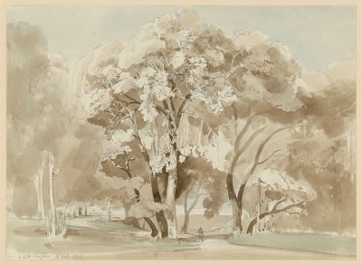 Baumgruppe im Park der Villa Borghese in Rom von Ernst Fries