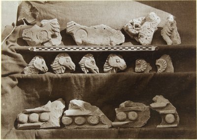 Ausgrabung von Samarra (Irak): Fragmente eines Frieses mit Kamelfiguren, aus dem Palast des Kalifen (Dar al-Khilafa, Jawsaq al-Khaqani, Bayt al-Khalifah), Kleiner Serdab, ca. 1911-13 von Ernst Herzfeld