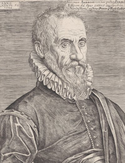 Porträt von Ambroise Paré, dem Chirurgen des Königs, 1582 von Etienne Delaune