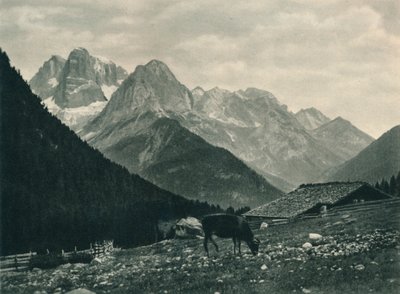 Blick auf die Brenta-Gruppe mit Almwiese, Madonna di Campiglio, Dolomiten, Italien, 1927 von Eugen Poppel