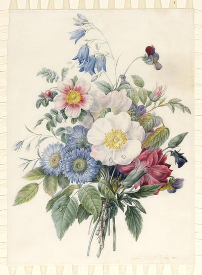 Blaue Astern, Rosa Spinosissima Hybrid, Glockenblume, Veilchen, Nelke und eine Wildrose, 1820 von Eugene A. L. d Orleans