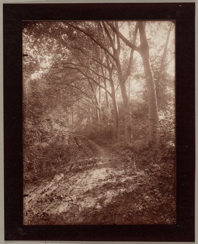 Parc de Sceaux von Eugène Atget