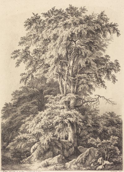  von Eugene Bléry