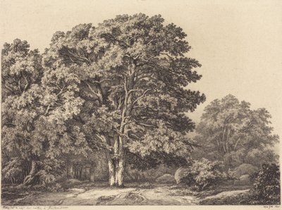 Eingang zu einem Wald von Eugene Bléry