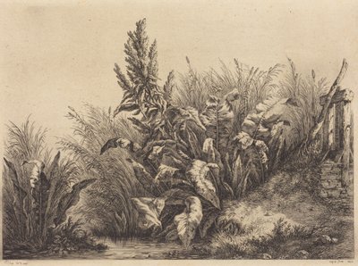  von Eugene Bléry