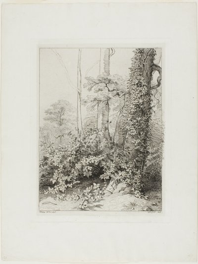 Brombeere und Efeu von Eugene Bléry