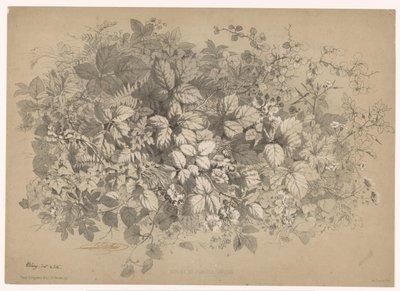 Brombeeren und andere Pflanzen von Eugene Bléry