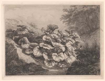 Großes Huflattich von Eugene Bléry