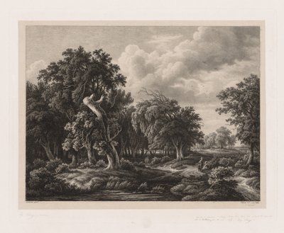 Gruppen verschiedener Pflanzen nach der Natur gezeichnet: Nr. 7 von Eugene Bléry
