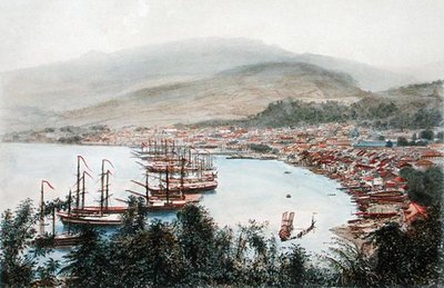Blick auf Saint-Pierre von der Geschützbatterie in Sainte-Marthe, Martinique von Eugene Ciceri