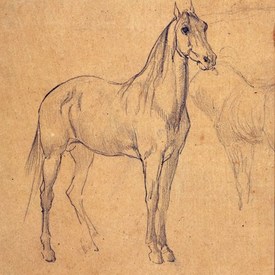 Studie eines Pferdes von Eugène Fromentin